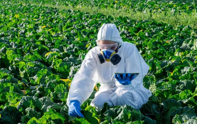 Nine herbicides such as cyclosulfone need to add safety agents before use