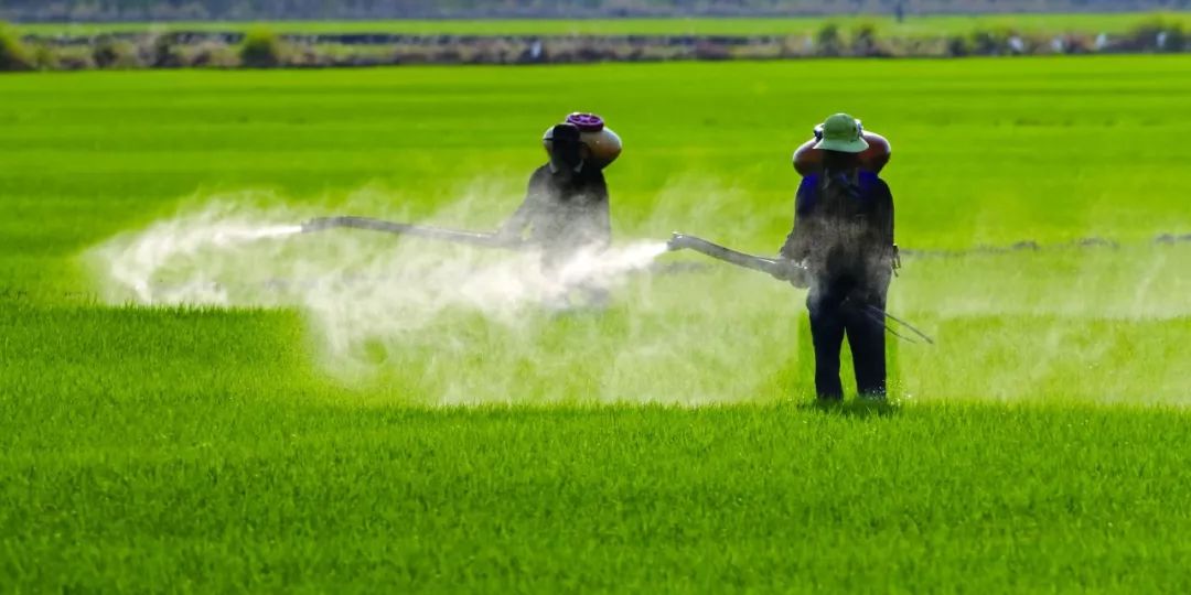 Which herbicides generally need to be added to the safety agent before use?