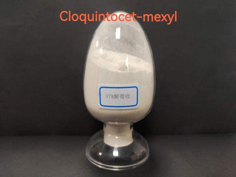 97% Cloquintocet-mexyl