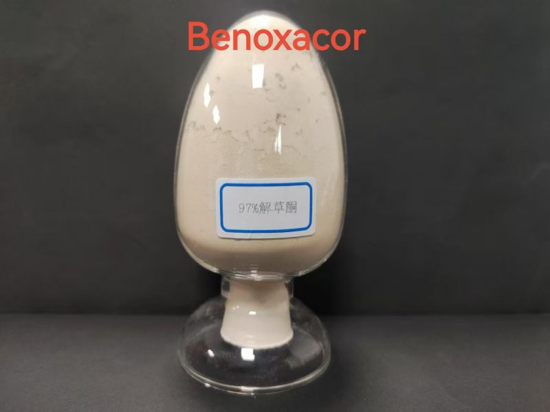 97% benoxacor