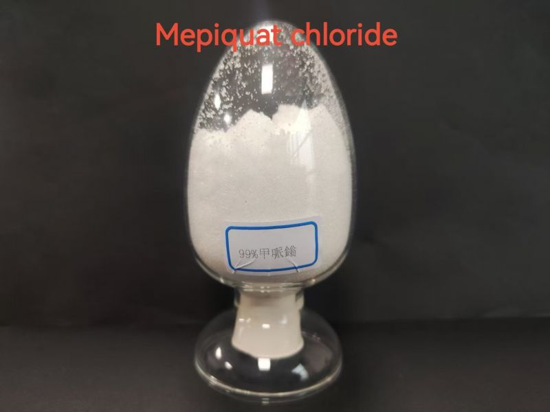 99%Mepiowat chloride